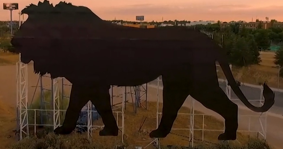Après les taureaux sur les routes d'Espagne, le roi lion