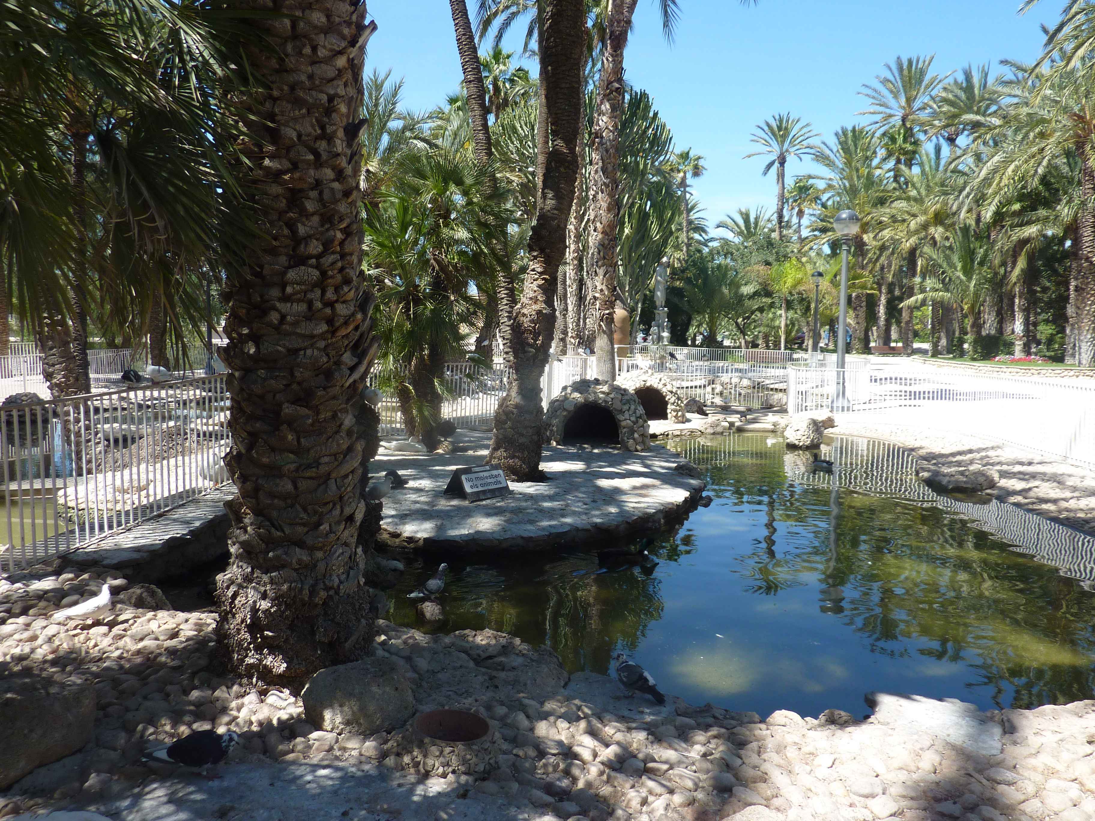 Feu dans la palmeraie de Elche