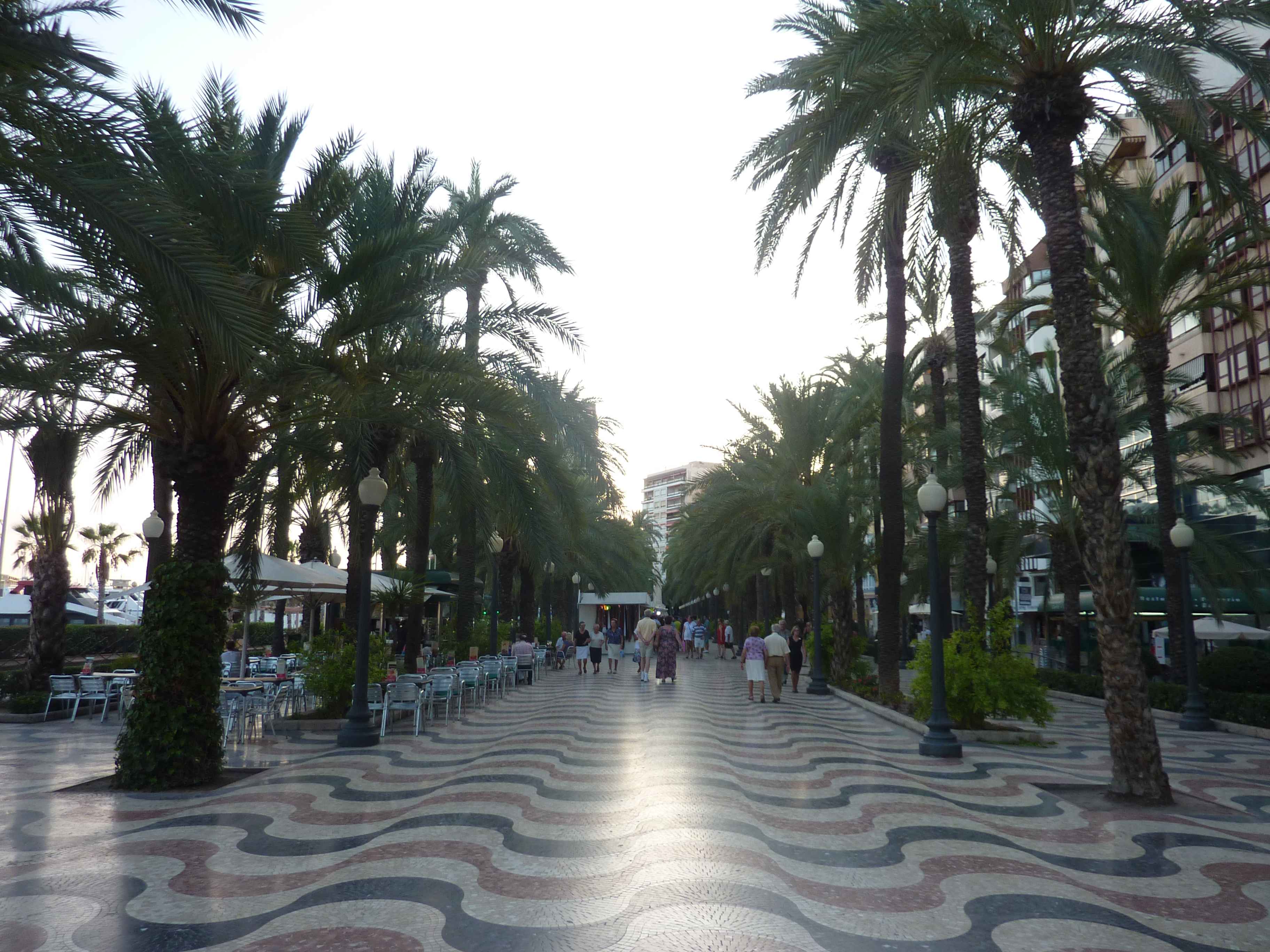 Promenade Type Ramblas De Alicante en Images