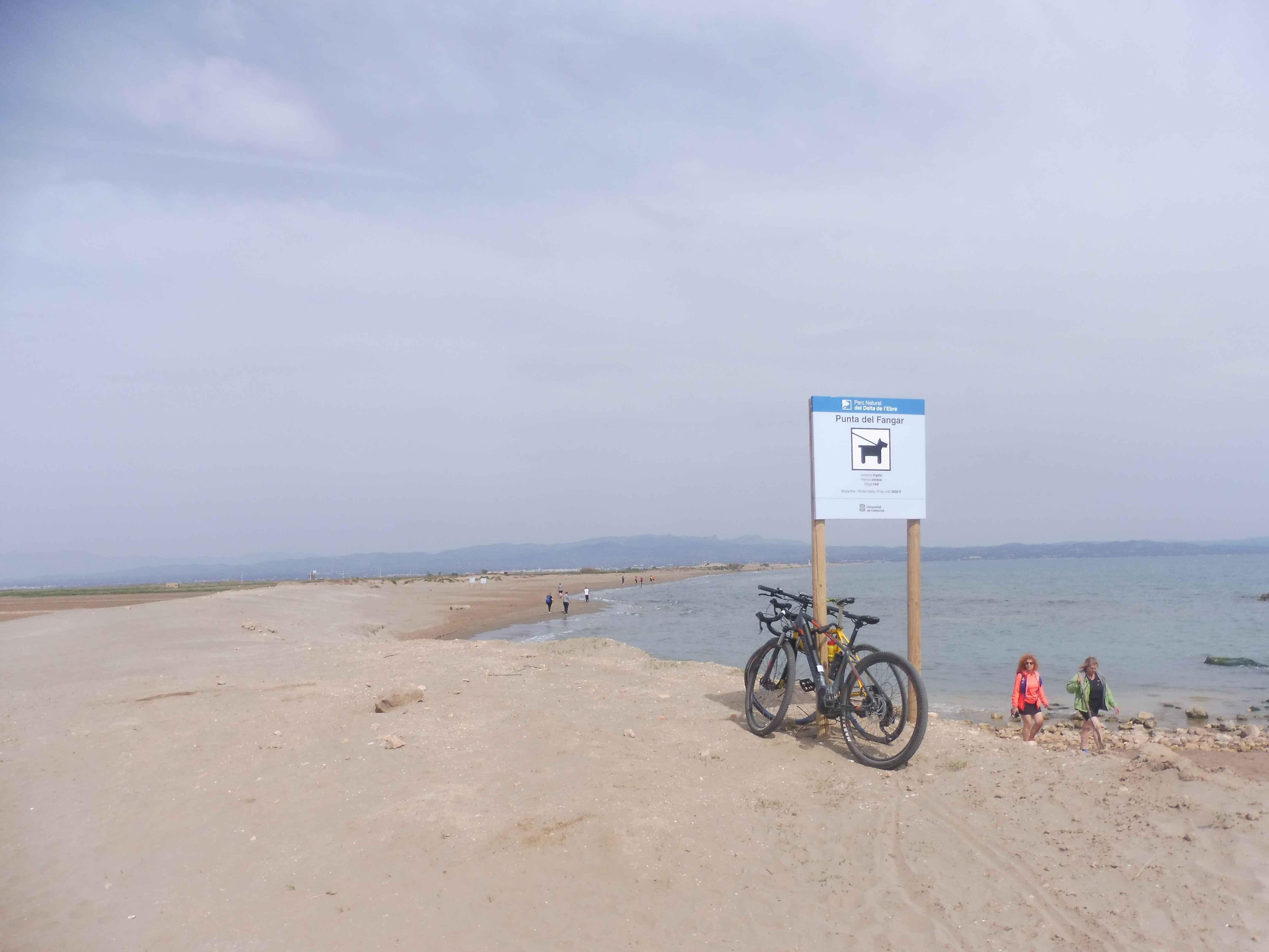 Punta Del Fangar Promenade Avec Vue Sur Legolf De San Jordi A Ampolla en Images