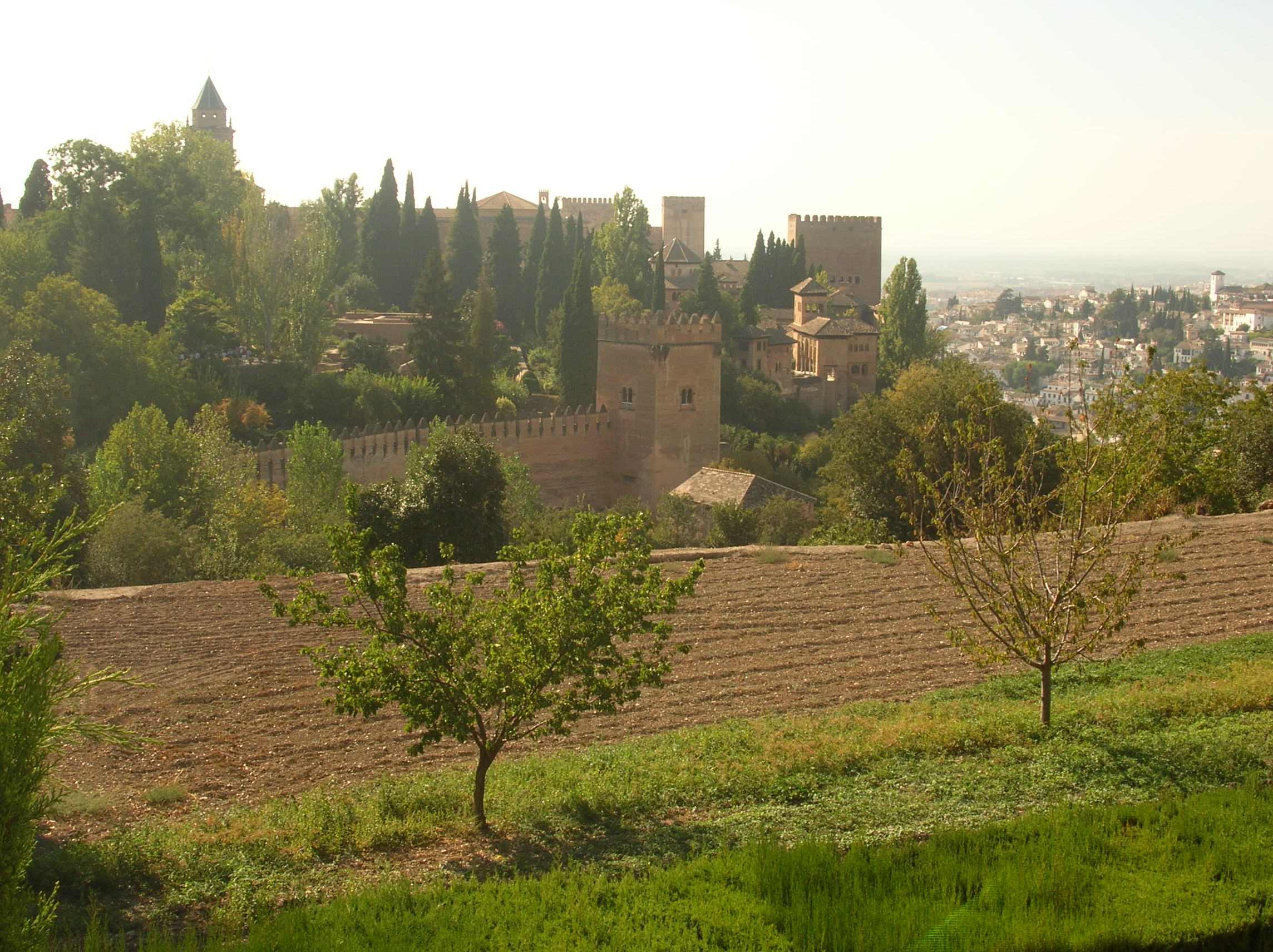 Alhambra Vue Depuis Les Quartiers Anciens en Images
